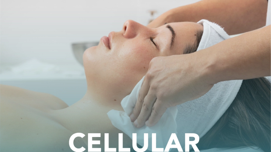 cellular therapy